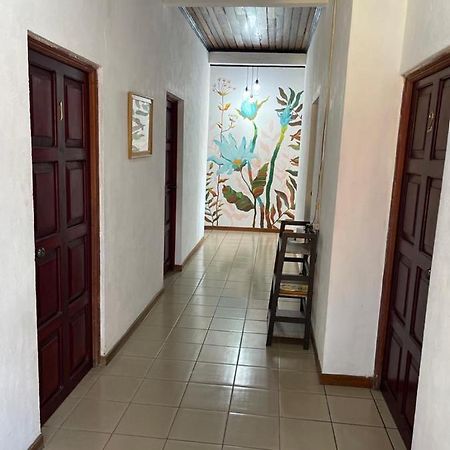 Hotel Villa Margarita Флорес Екстер'єр фото